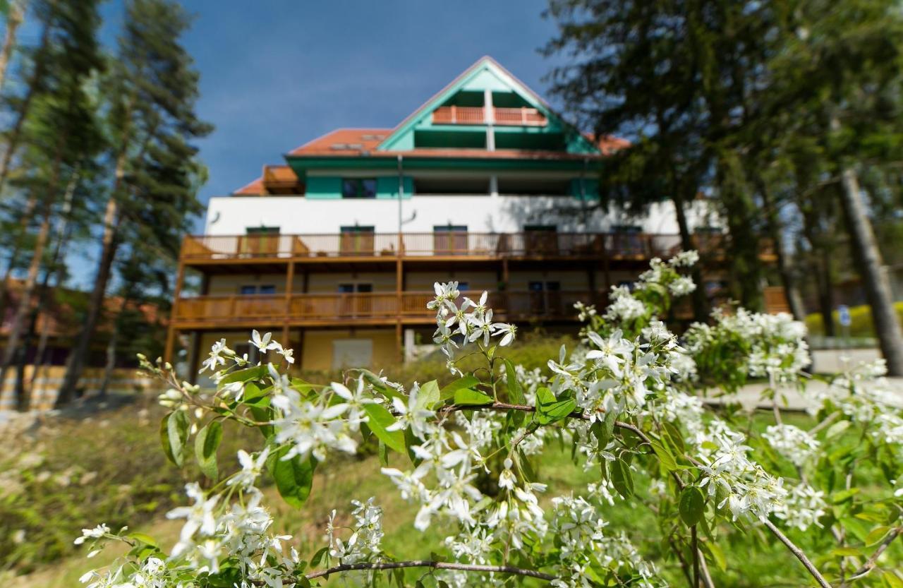 Apartamento Apartmán Čtyřlístek Lipno Lipno nad Vltavou Exterior foto